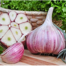 Чеснок Долькин (3 шт/уп)