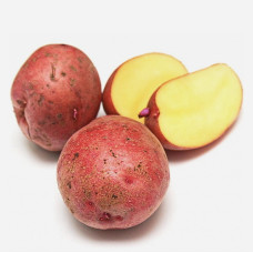 Картофель семенной Ильинский (ЭЛИТА) (сетка 2 кг)