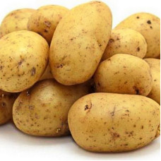 Картофель семенной Гала (сетка 2 кг)