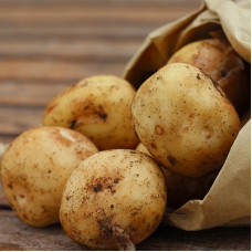 Картофель семенной Карлингфорд (Элита) (сетка 2 кг)