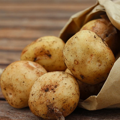 Картофель семенной Карлингфорд (Элита) (сетка 2 кг)