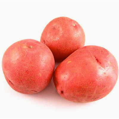 Картофель семенной Огниво (ЭЛИТА) (сетка 2 кг)