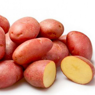 Картофель семенной Накра (ЭЛИТА) (сетка 2 кг)