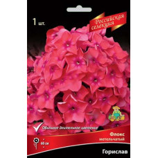 Флокс метельчатый "Российская селекция" Горислав