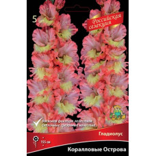 Гладиолус Кораловые Острова ("Российская селекция")  