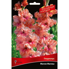 Гладиолус Магия Магмы ("Российская селекция")