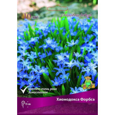 Хионодокса Форбса