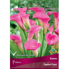 Калла Гарнет Глоу