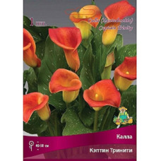 Калла Кэптин Тринити