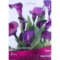 Калла Найт Лайф