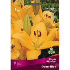 Лилия Фэшн Шоу (ЛА-Гибрид)