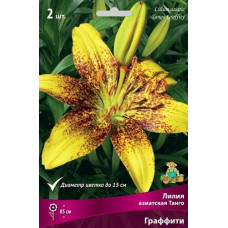 Лилия Граффити (Азиатская Танго)