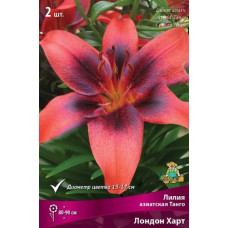 Лилия Лондон Харт (Азиатские Танго)