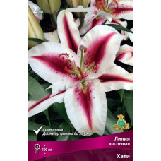 Лилия Хати (восточный гибрид)