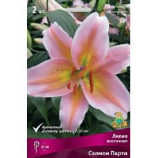 Лилия Сэлмон Парти (восточный гибрид)