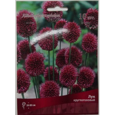 Лук декоративный Круглоголовый