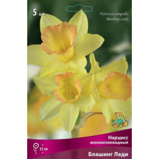 Нарцисс Блашинг Леди (жонкилиевидный)