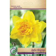 Нарцисс Дабл Форчун (махровый)