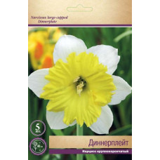 Нарцисс Диннерплейт (крупнокорончатый)  