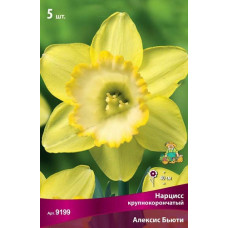 Нарцисс Алексис Бьюти (крупнокорончатый)