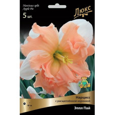 Нарцисс Эппл Пай (с расщепленной коронкой)