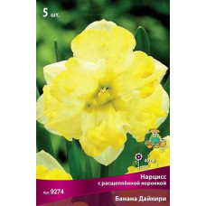 Нарцисс Банана Дайкири (с расщепленной коронкой)