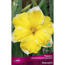 Нарцисс Бельканто (с расщепленной коронкой)