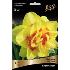 Нарцисс Киви Сансет (махровый)