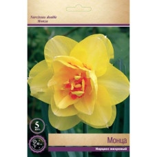 Нарцисс Монца (махровый)