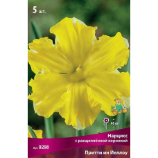 Нарцисс Притти ин Йеллоу (с расщепленной коронкой) 