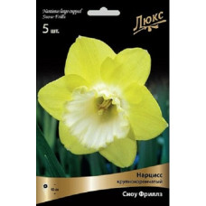 Нарцисс Сноу Фриллз (крупнокорончатый)