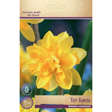 Нарцисс Тет Букль 
