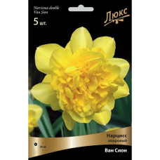 Нарцисс Ван Сион (махровый)