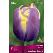 Тюльпан Арабиан Бьюти (триумф)