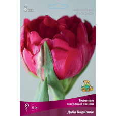 Тюльпан Дабл Кадиллак (махровый ранний)