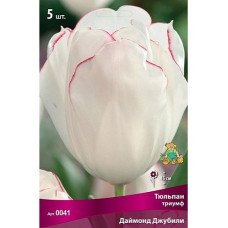 Тюльпан Даймонд Джубили (триумф)