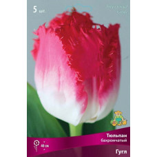 Тюльпан Гугл (бахромчатый)