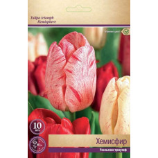 Тюльпан Хемисфир (Триумф)