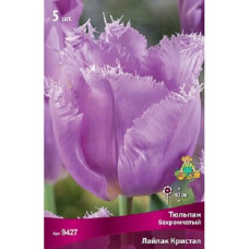 Тюльпан Лайлак Кристал (бахромчатый)