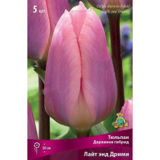 Тюльпан Лайт энд Дрими (Дарвинов гибрид)