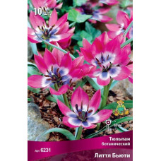 Тюльпан Литтл Бьюти (ботанический)