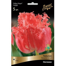 Тюльпан Неглиже (бахромчатый)