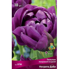 Тюльпан Негрита Дабл (махровый поздний)