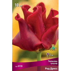 Тюльпан Ред Дресс (Триумф)