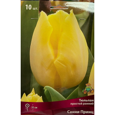 Тюльпан Санни Принц (простой ранний)