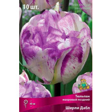 Тюльпан Ширли Дабл (махровый поздний)