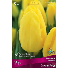 Тюльпан Стронг Голд (Триумф)