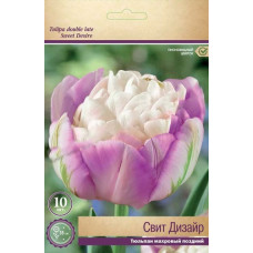 Тюльпан Свит Дизайр (махровый поздний)