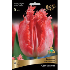 Тюльпан Свит Симона (бахромчатый)