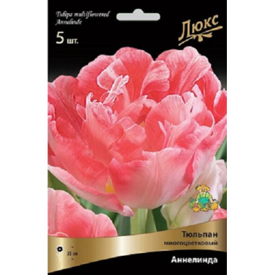 Тюльпан Аннелинда (многоцветковый)